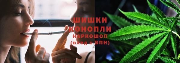 PSILOCYBIN Богородск